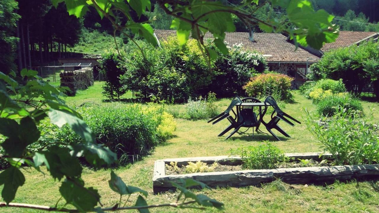 Hotel La Boissellerie à Saulxures-sur-Moselotte Extérieur photo